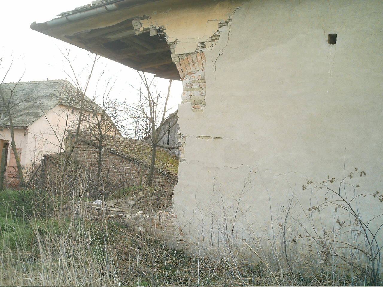 ratu slăbire jeleu