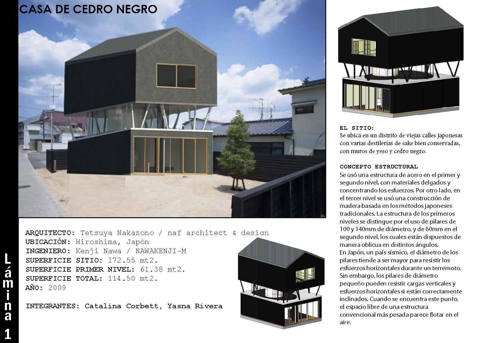Casa de Cedro Negro