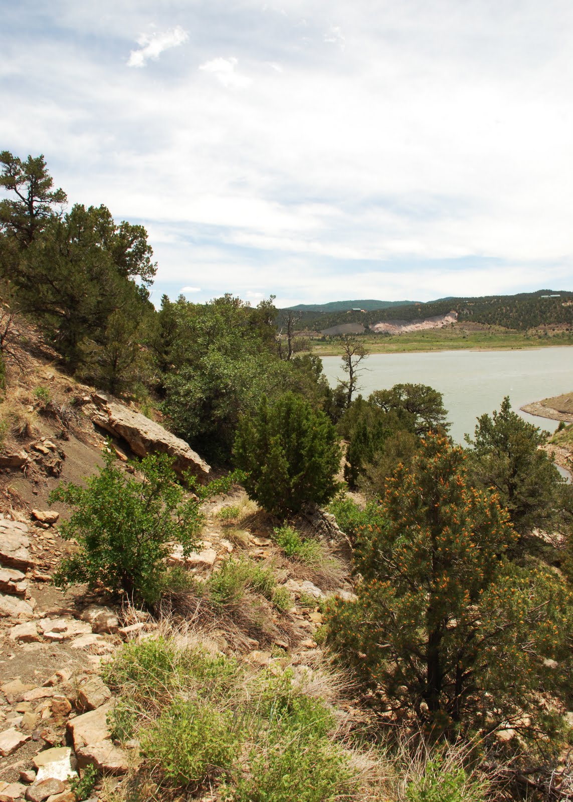 Of Wings and Wanderings Trinidad Lake State Park Trinidad, Colorado