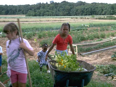 importance NAMC montessori practical life activities classroom children gardening