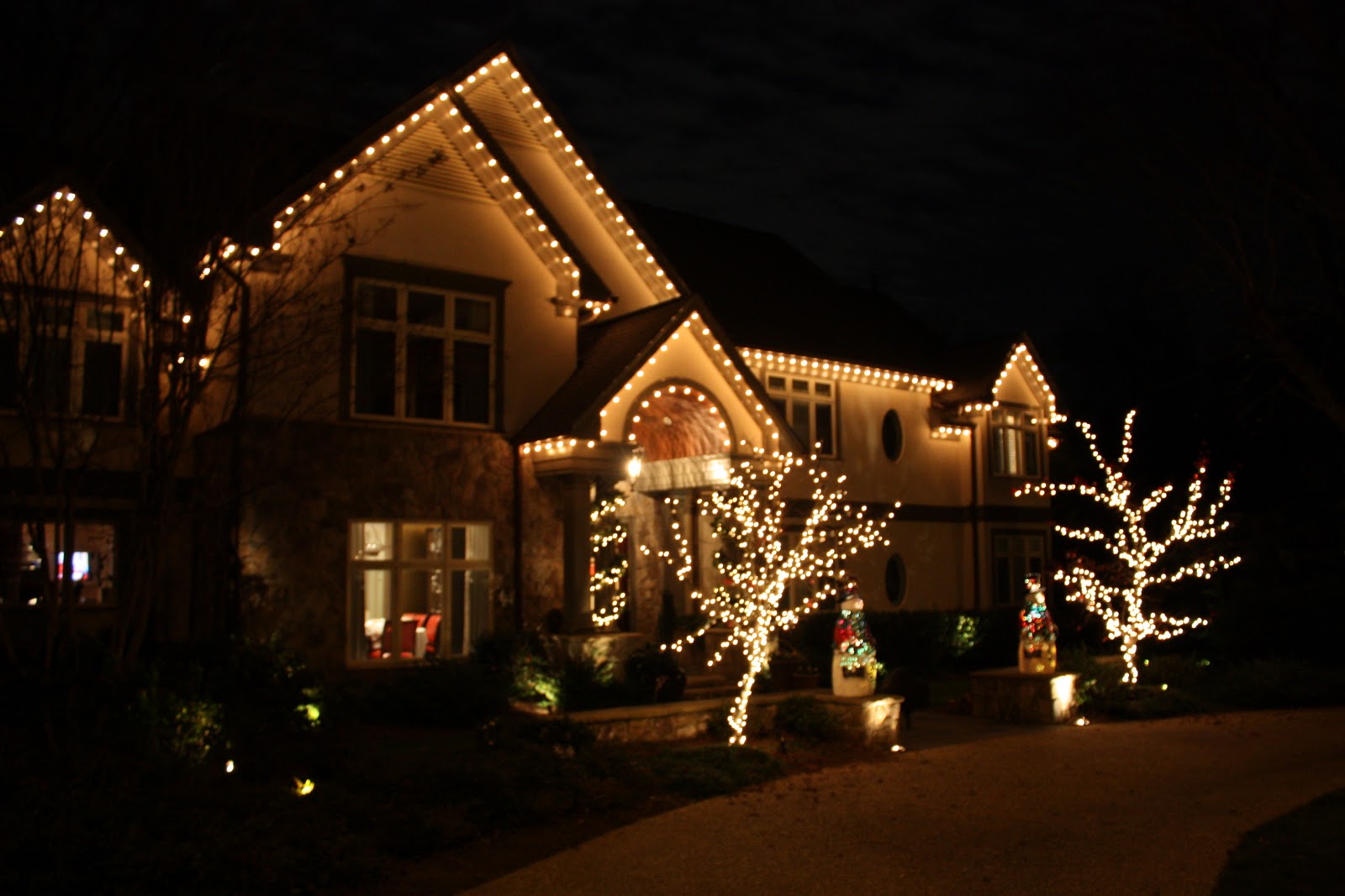 Viva Cindy: The Christmas Light Pros of Atlanta: At Your Service!