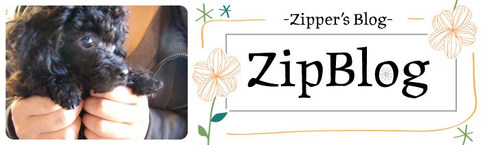 ZipBlog