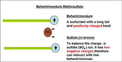 Behentrimonium Methosulfate (B.T.M.S. 50) – The Art Connect