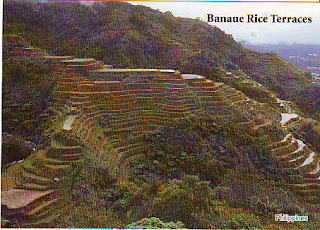 The World Thru Postcards: Banaue Rice Terraces Postcard