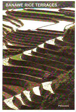 The World Thru Postcards: Banaue Rice Terraces Postcard