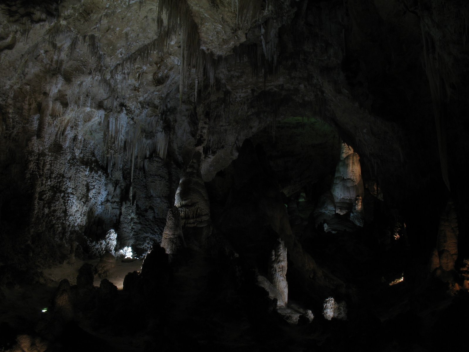 [IMG_0203.JPG]