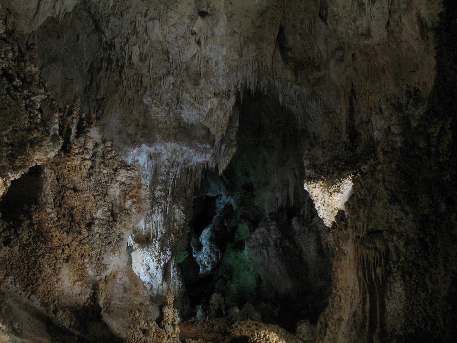 [IMG_0202.JPG]