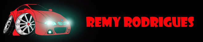 The Art of Remy
