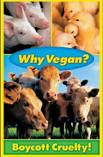 Είσαι Vegan; Μποϊκοτάζ στη Σκληρότητα!