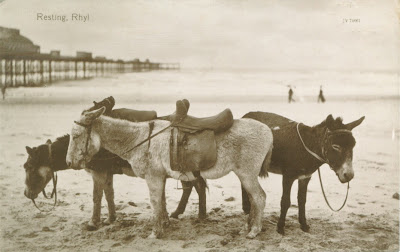 Rhyl donkeys