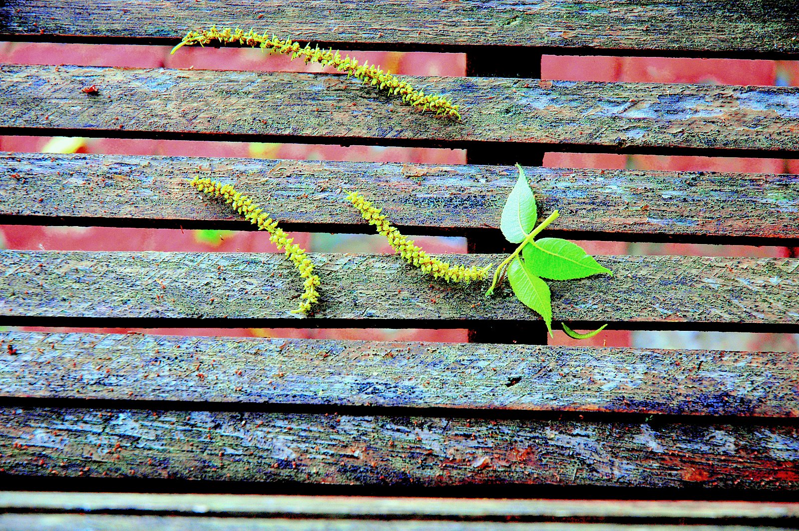 [Imported+Photos+00042.JPG]