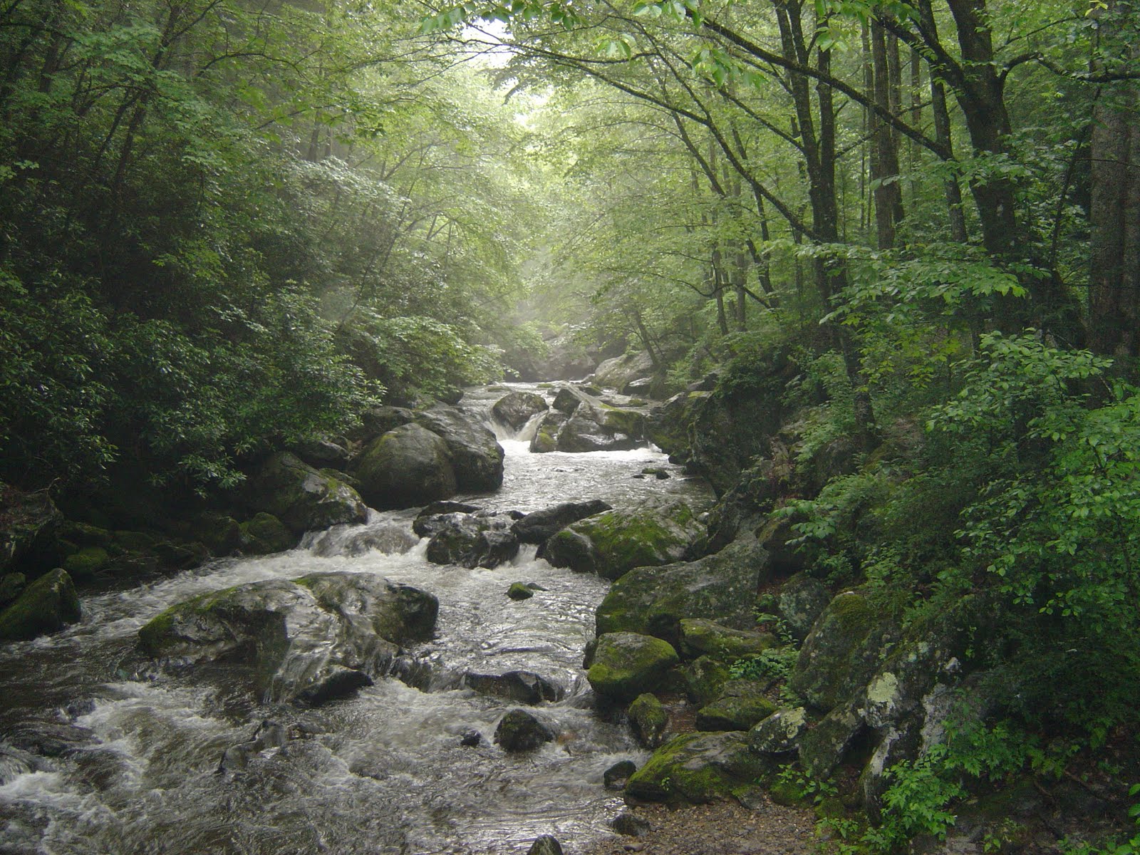 Tate City GA Scenes from Tate City,