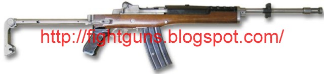 Guns - Fight guns - War guns: Ruger AC-556 assault rifle / Mini-14 GB ...
