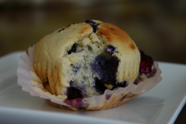 From Scratch Blueberry Muffins From Scratch Blueberry Muffins