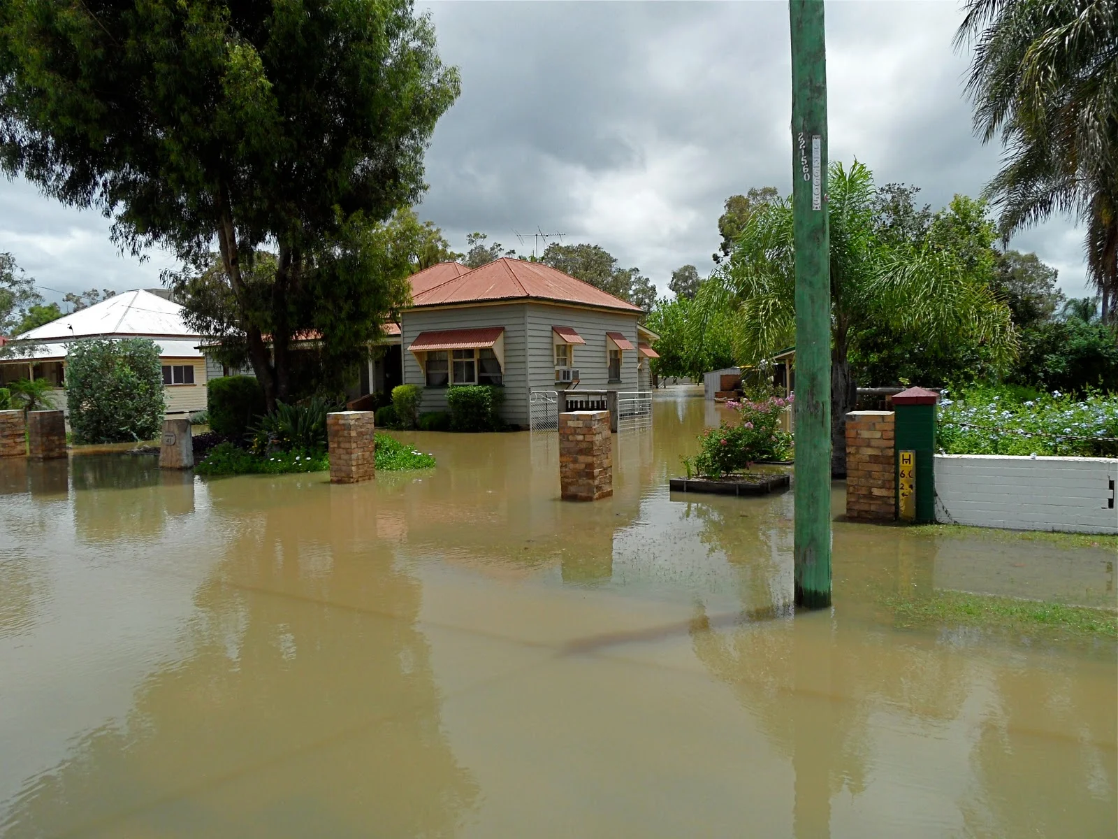 Serene Evacuation Warning Issued As Flood Peak Looms For Chinchilla Artwork for Mobile