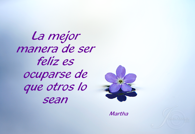 SER FELIZ: 2010