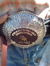 Newest Buckle Addition