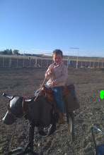 Giddy up