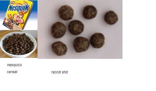 WE SPEAK THE TRUTH: Nesquik DOES look like rabbit shit.