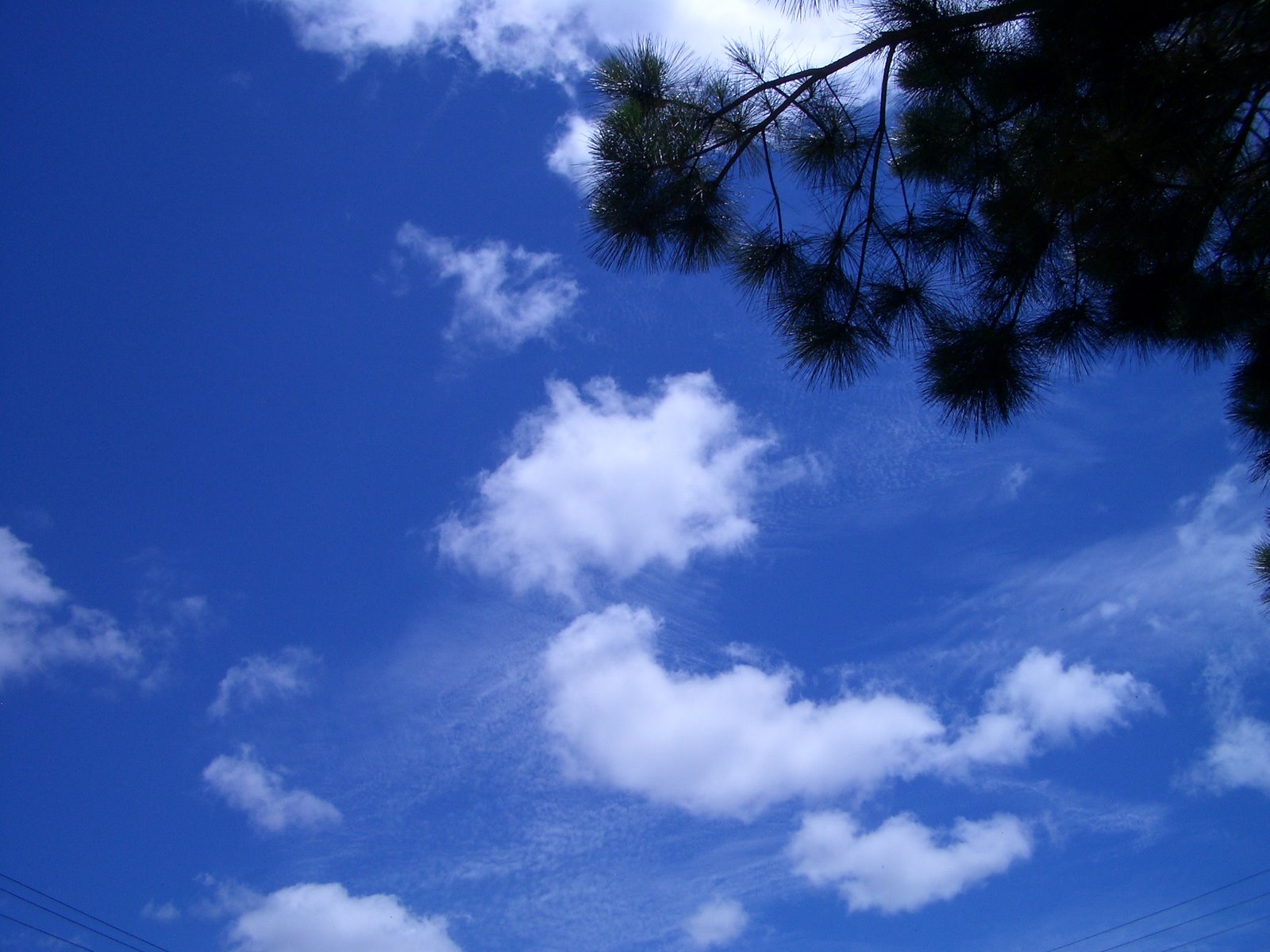 [2008-12-14+Jd+das+Americas.JPG]