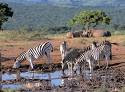 South Africa