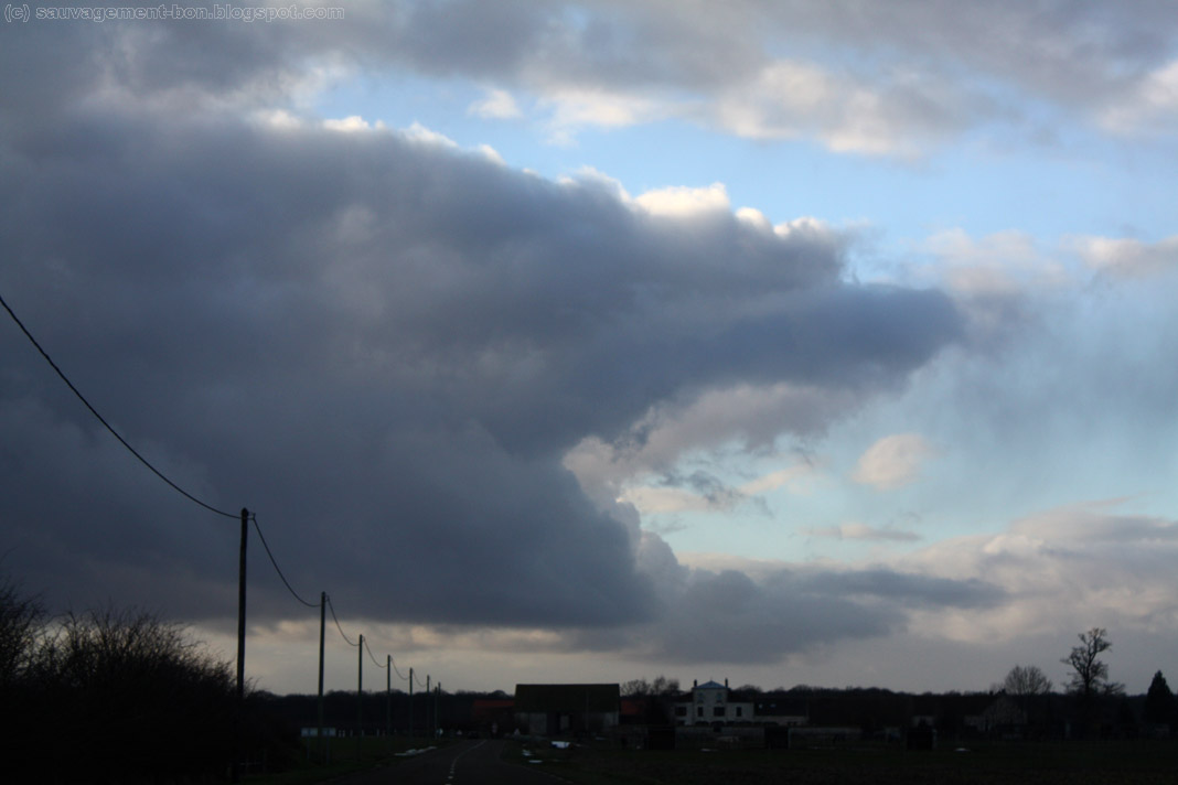 [nuages-requin.JPG]