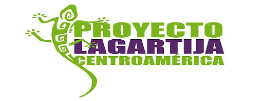 proyecto lagartija centroamérica