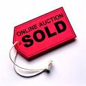 Watch a LIVE Auction from Europe