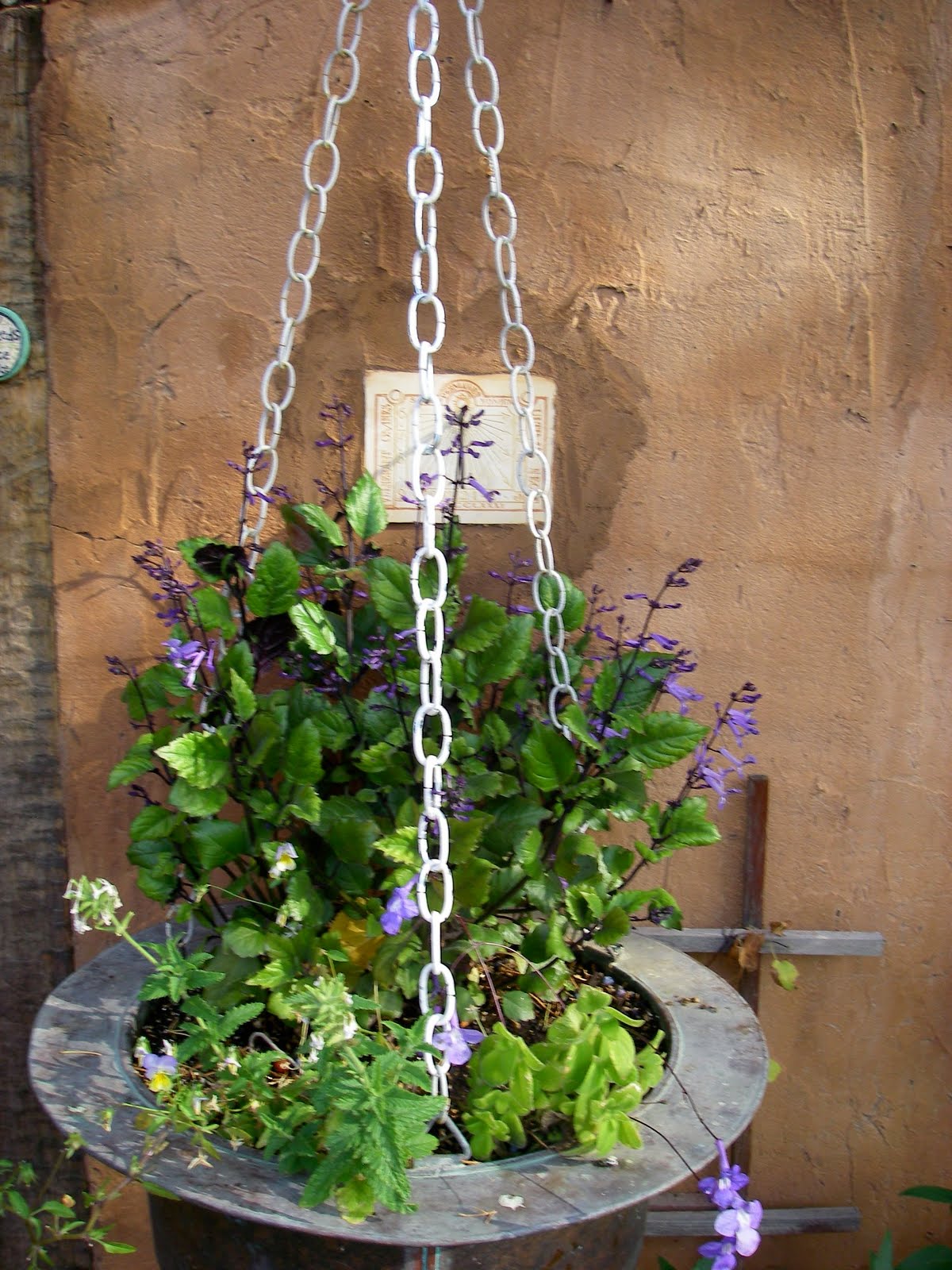 Two Gardens In Santa Fe Bringing In Potted Plants For The Winter