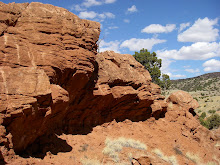 High Desert Gardening