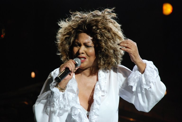 Tina Turner: The Ultimate Experience