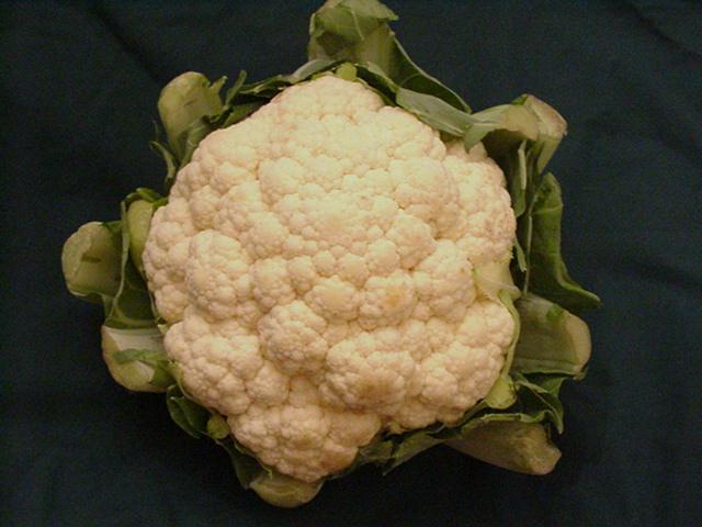 [Cauliflower.jpg]