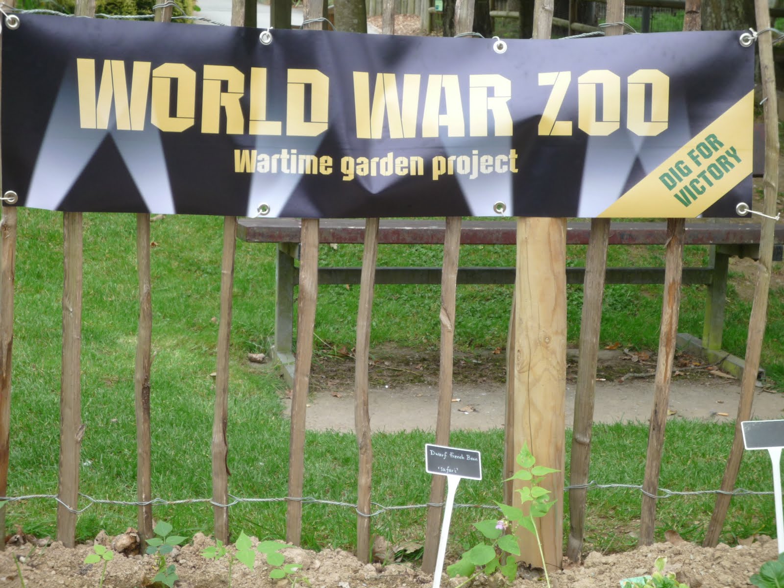 World War Zoo gardens