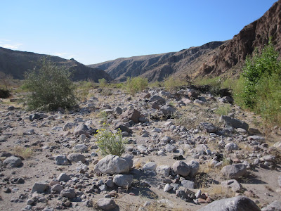 2a+Meadow+Valley+Wash+-+looking+south.JP