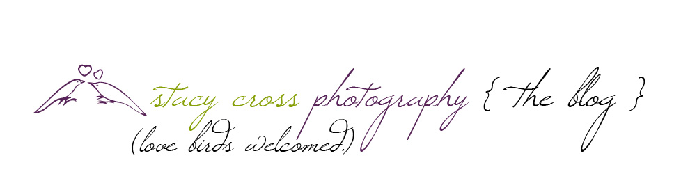 Stacy Cross Photography Blog