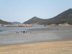 At 8:30am the tide is so low you can walk out to the island