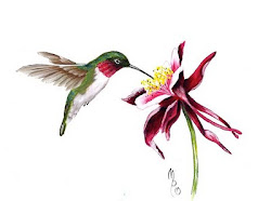 hummingbird acrylic hummingbirds drawings drawing painting paint watercolor flowers flower paintings bird painted patterns pretty easy birds humming tattoo colibri