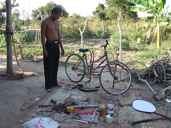 Nil Noy's Bicycle Business