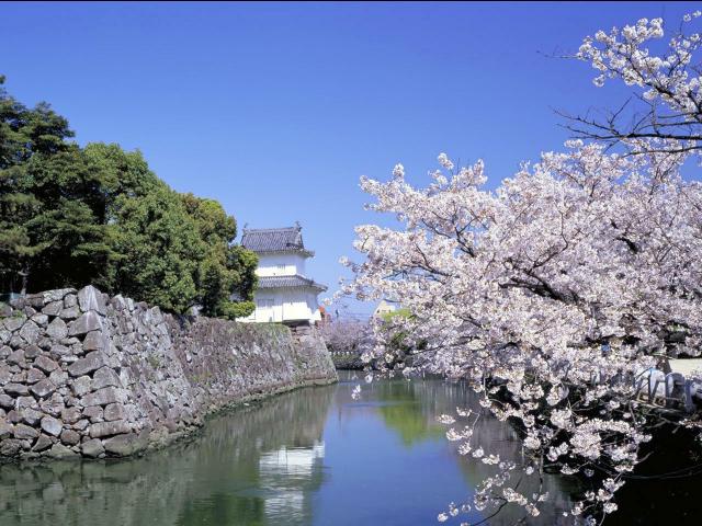 春の日本での