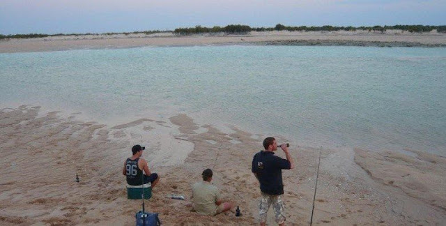 Θαλάσσια ζωή - Marine life