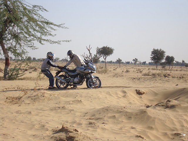 [DSC04689.JPG]
