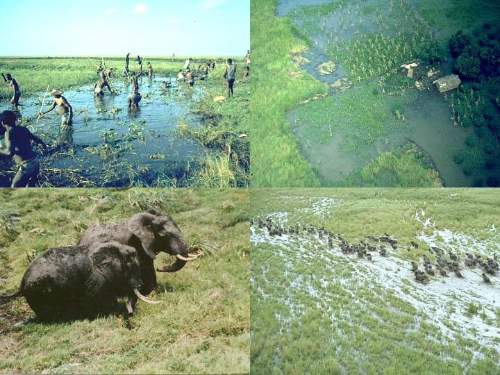 [vale-do-zambeze.jpg]