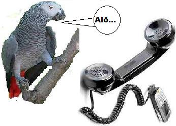 [stp_telecomunicacoes_papagaio.JPG]