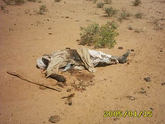 [Sudao-Darfur2cut-darfurgenocide-org.jpg]