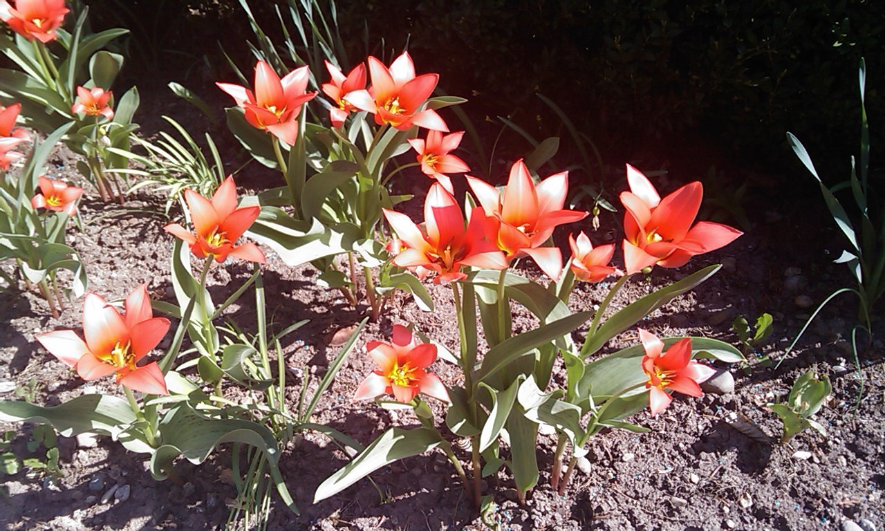 [IMAG0003-753350.jpg]