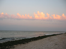 ulima dimineat de gustar in vama. asa era...