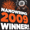 Nanowrimo Winner!