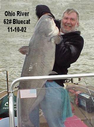 62 pound Ohio River Bluecat