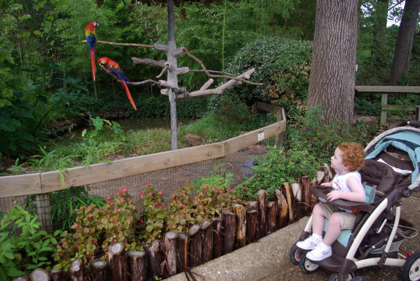 Choosing Joy Today Visit to Caldwell Zoo