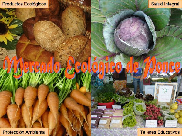 Mercado Ecologico de Ponce (MEP)